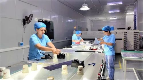 疏勒縣新能源產(chǎn)品閃耀喀交會 20余款創(chuàng)新成果引領新興能源技術研發(fā)潮流