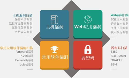 信息安全服務中的漏洞掃描與等級保護（等保）評估 功能、定位與計算機系統服務中的實踐